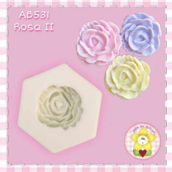 AB531 - Rosa II